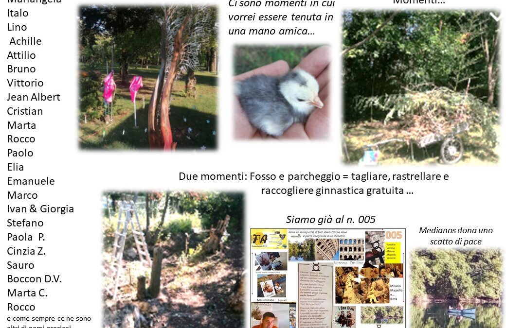 25 _ Oggi annoto queste parole: pulcino, mano, persone speciali, puzzle, fosso sx, parcheggio, rosa, video