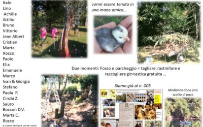 25 _ Oggi annoto queste parole: pulcino, mano, persone speciali, puzzle, fosso sx, parcheggio, rosa, video