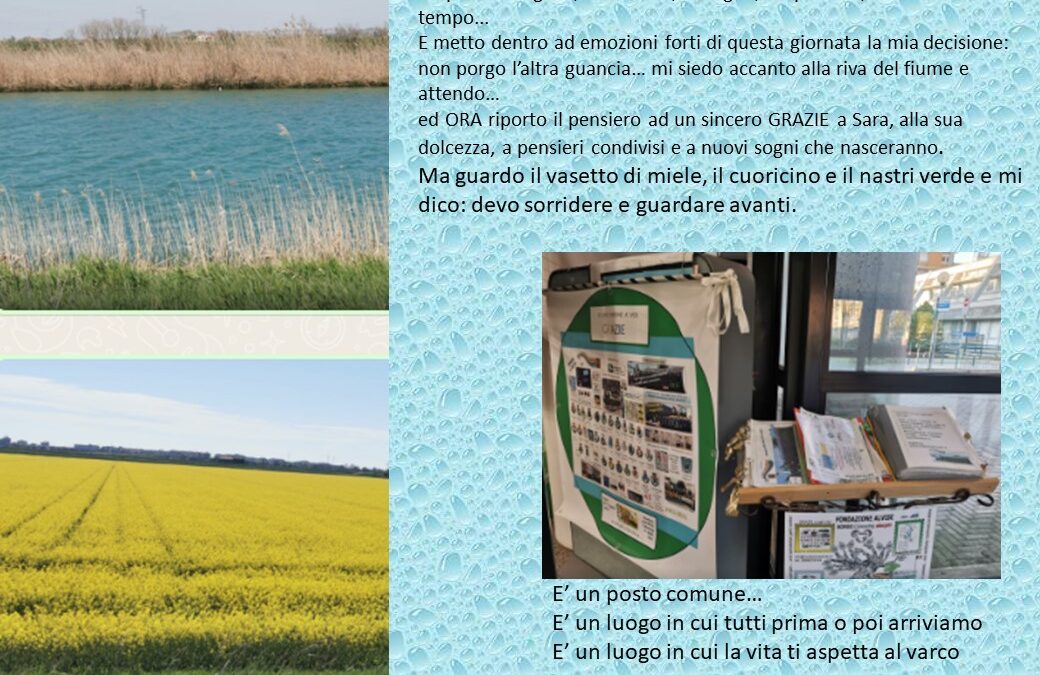 50 _ Scandisco momenti + / –   Miele, cuore e nastrino verde  e l’attacco di chi nella sua venalità ha una visione limitata a se… raccomandata