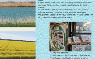 50 _ Scandisco momenti + / –   Miele, cuore e nastrino verde  e l’attacco di chi nella sua venalità ha una visione limitata a se… raccomandata